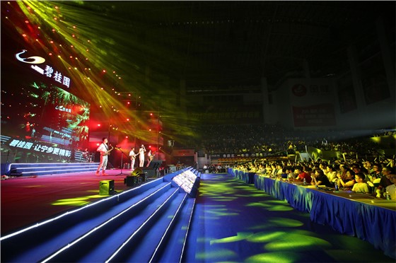 碧桂园，让宁乡更精彩- 品牌盛典暨明星演唱会活动