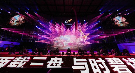 耒阳明星演唱会