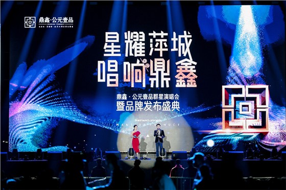星耀萍城-唱响鼎鑫-鼎鑫公元壹品群星演唱会暨品牌发布盛典