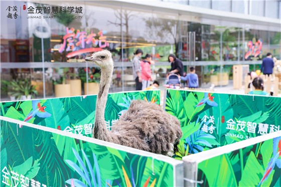 金茂智慧科学城“五一创意亲子活动 (5).jpg