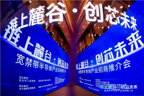 链上麓谷 创芯未来”宽禁带半导体专场招商推介活动 (1).JPG