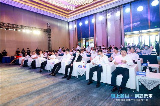 链上麓谷 创芯未来”宽禁带半导体专场招商推介活动 (2).JPG