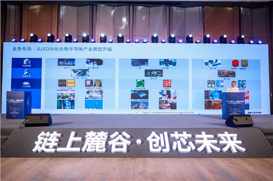 链上麓谷 创芯未来”宽禁带半导体专场招商推介活动 (4).JPG