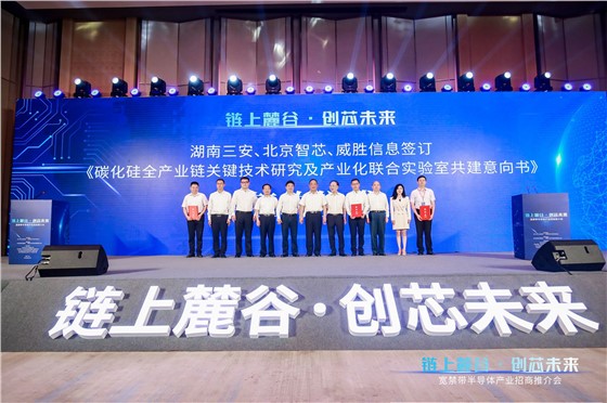 链上麓谷 创芯未来”宽禁带半导体专场招商推介活动 (6).JPG