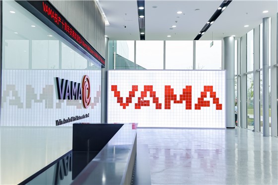 VAMA华菱安赛乐米塔尔汽车板投产10周年庆典及家庭日活动 (1).JPG