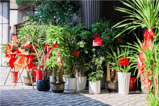 1华宇·翠湖湾生活美学馆盛大开放活动 (5).jpg