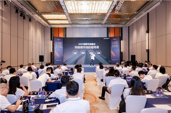 2玛格菁英联盟研修班长沙站 (16).JPG