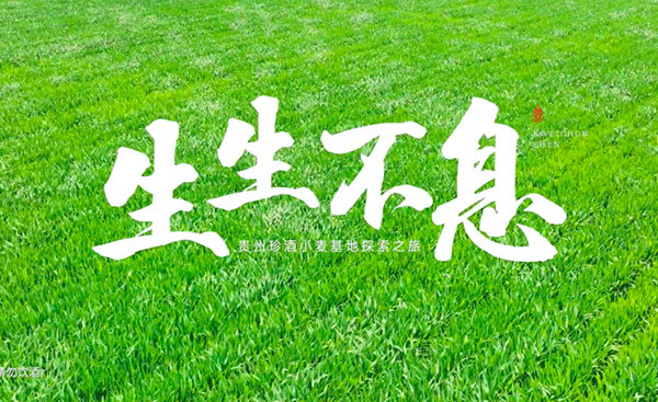 案例回顾｜浩洋天承首届广告片大赏