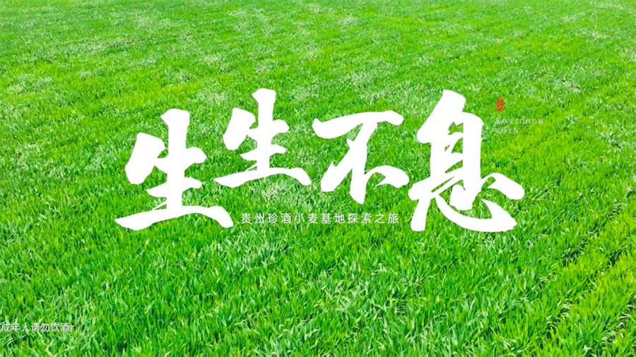 浩洋首届广告片大赏