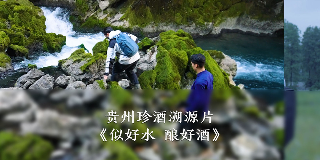 贵州珍酒溯源片