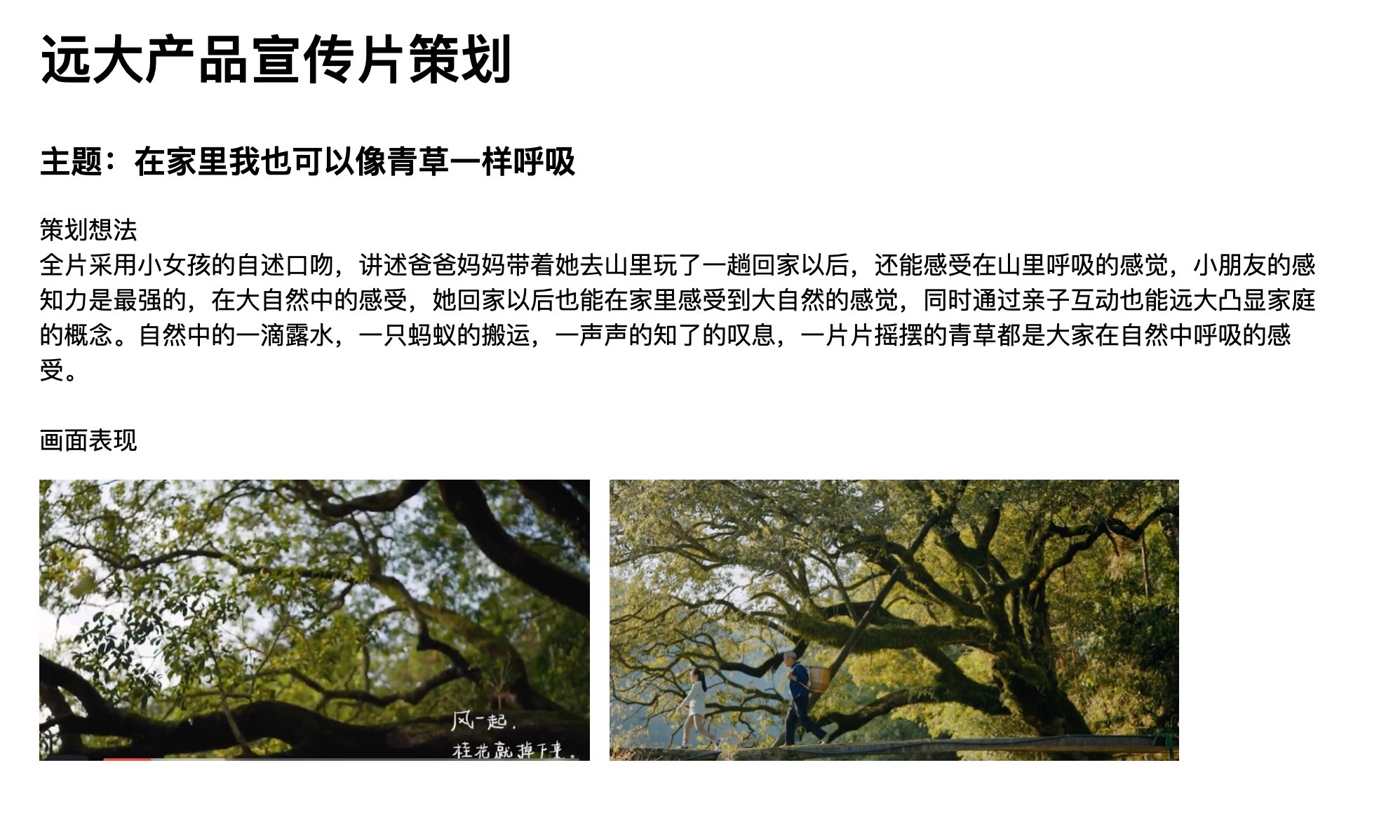 在家里我也可以像青草一样呼吸