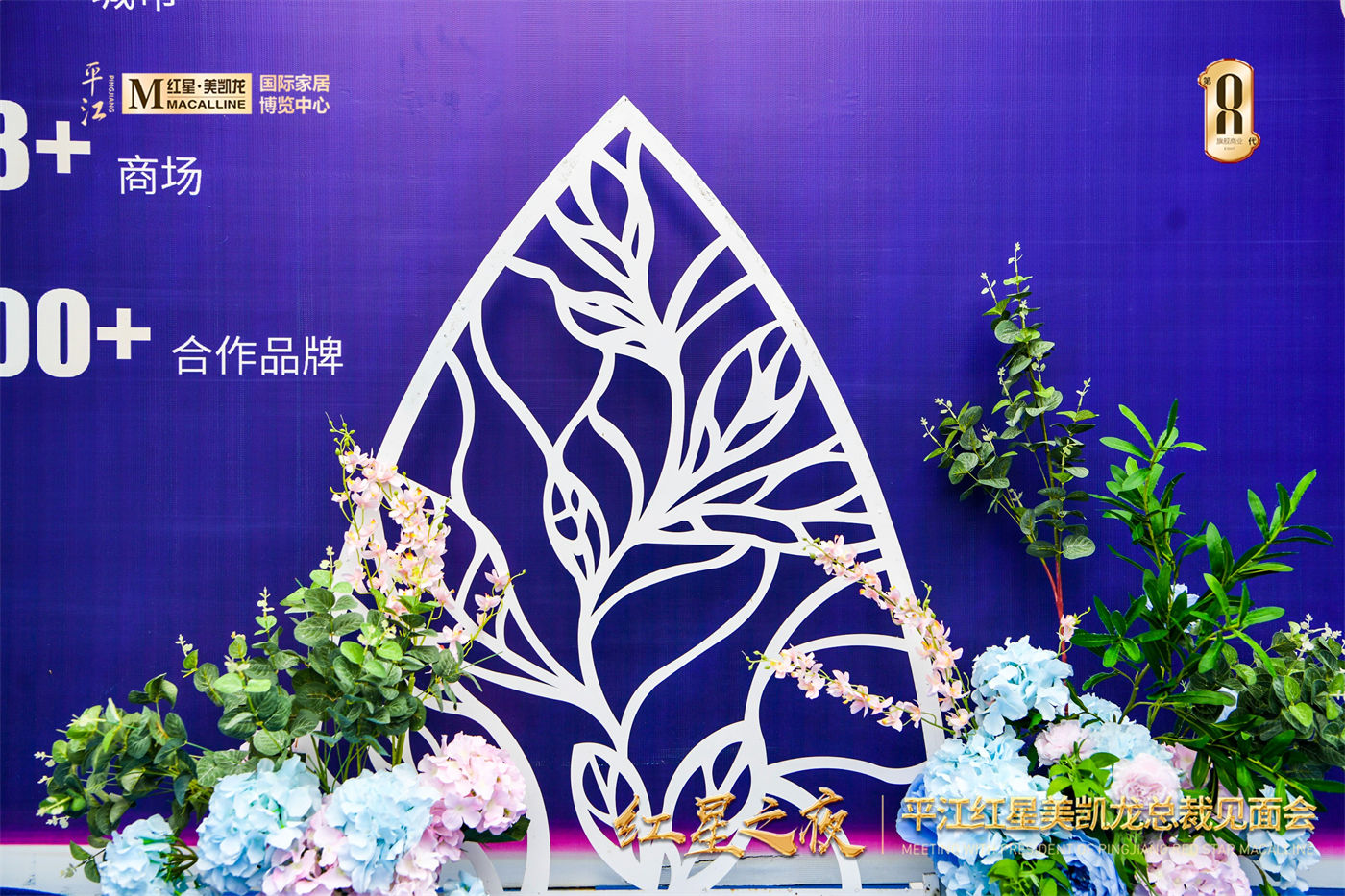 红星美凯龙美陈包装 (3).JPG