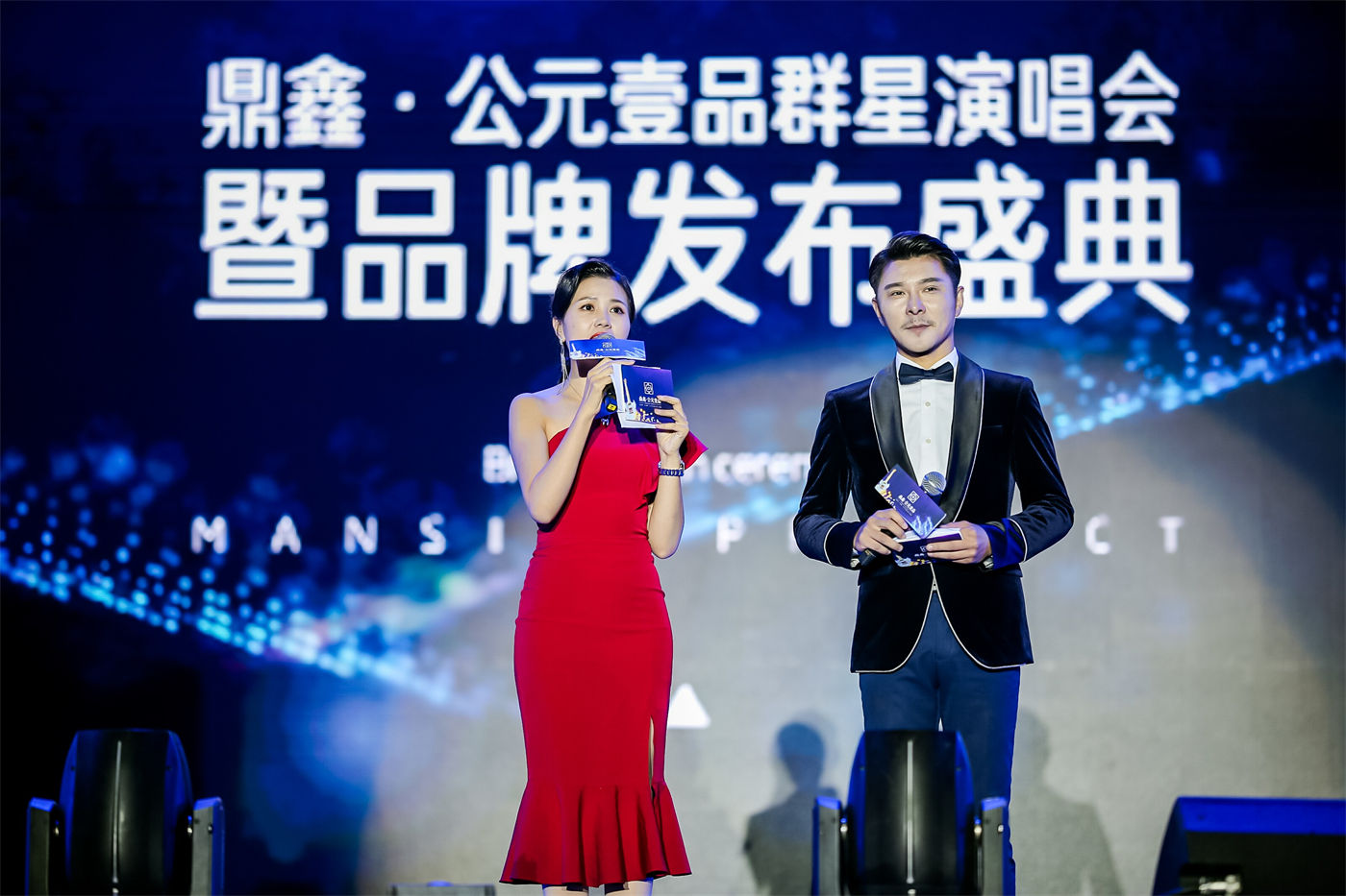 萍乡鼎鑫公元壹品演唱会 (8).JPG