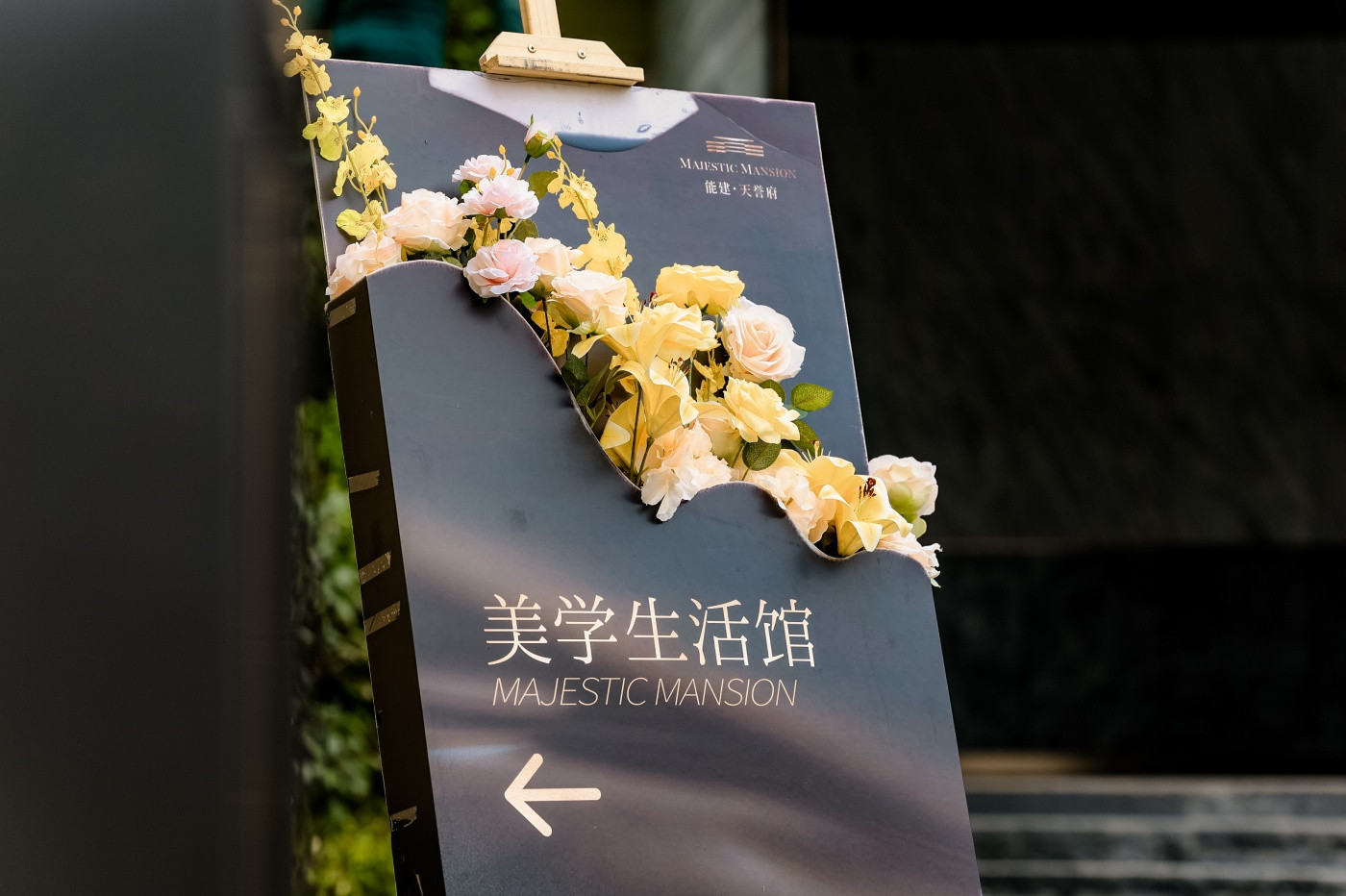 能建·天誉府营销中心大V品鉴活动 (4).JPG