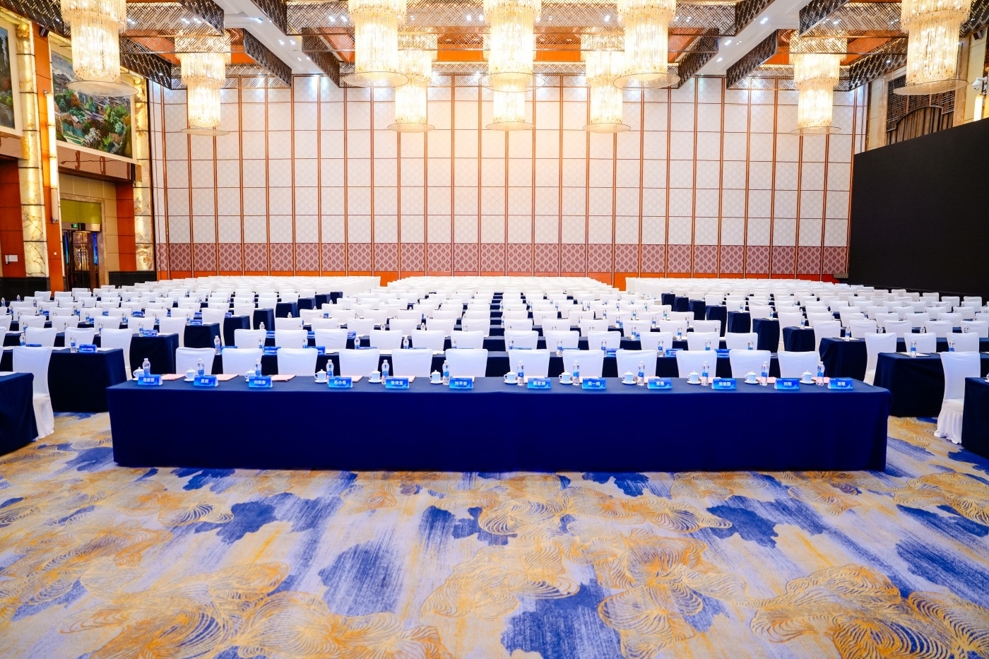 5湖南省医院协会临床检验管理专业委员会成立大会暨2024年学术年会 (1).JPG