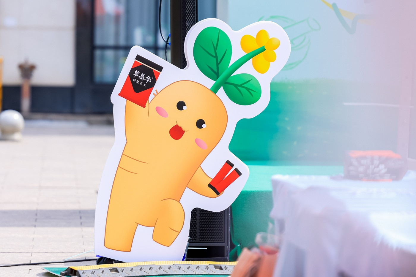 1&rdquo;蕺刻童行&ldquo;草本养生市集 (6).JPG