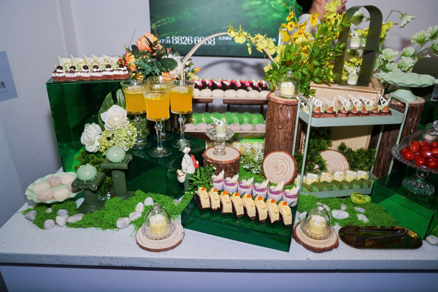 1嘉宇璟琇大泽湖临时展厅布置、开放活动 (9).JPG