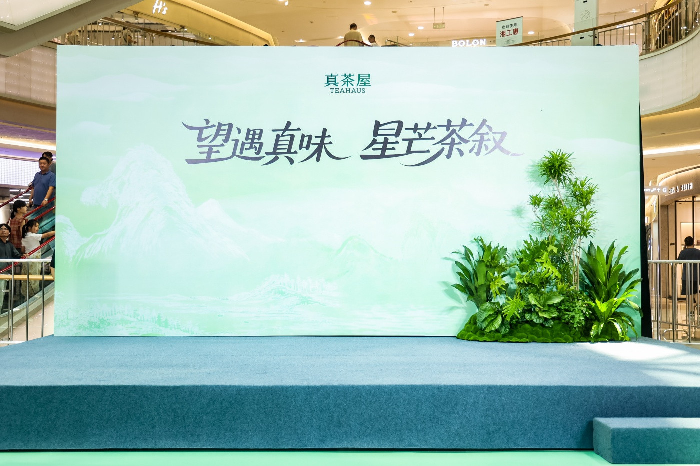 1真茶屋明星见面会活动 (2).jpg