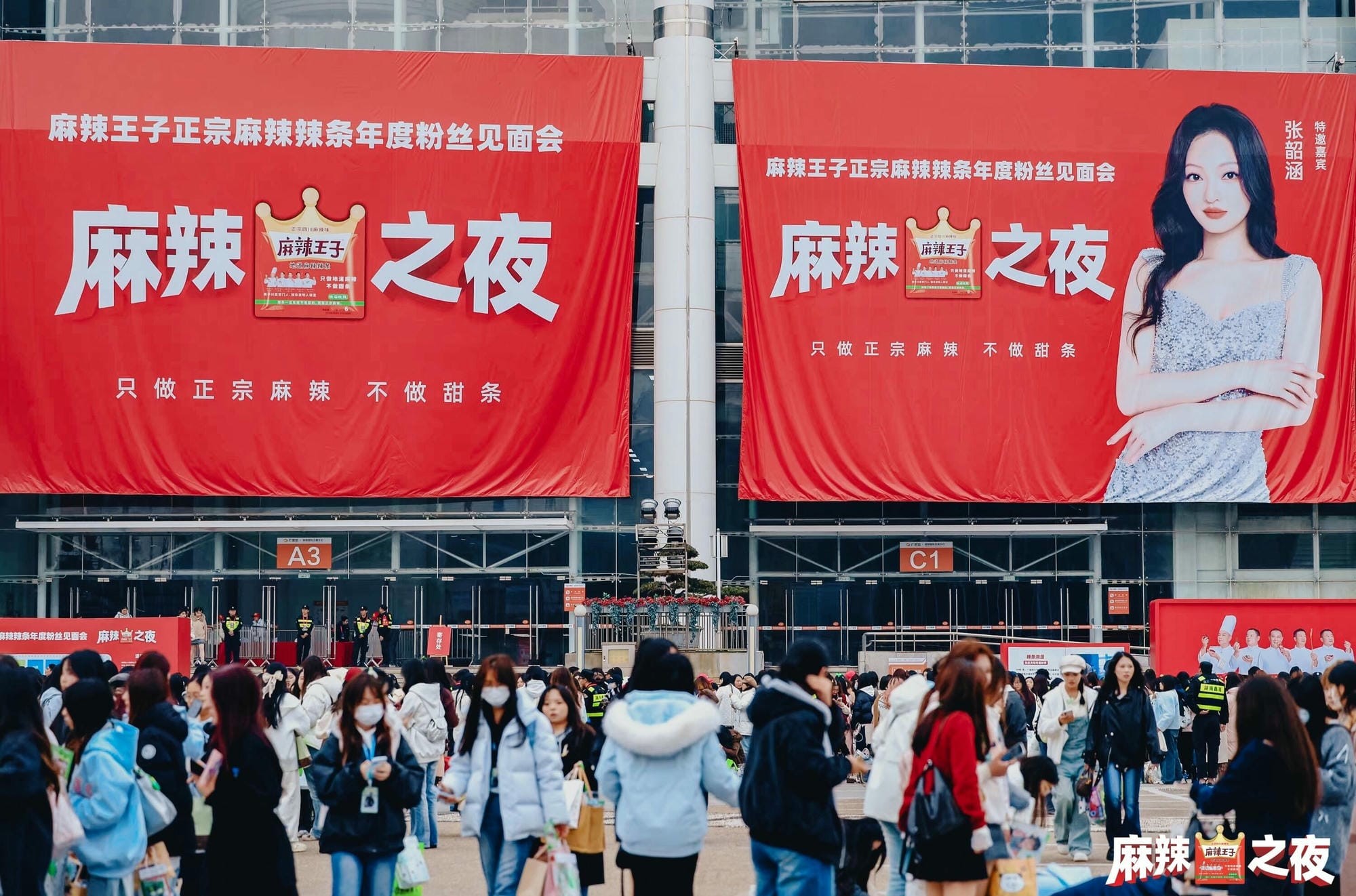 张韶涵 (3).jpg